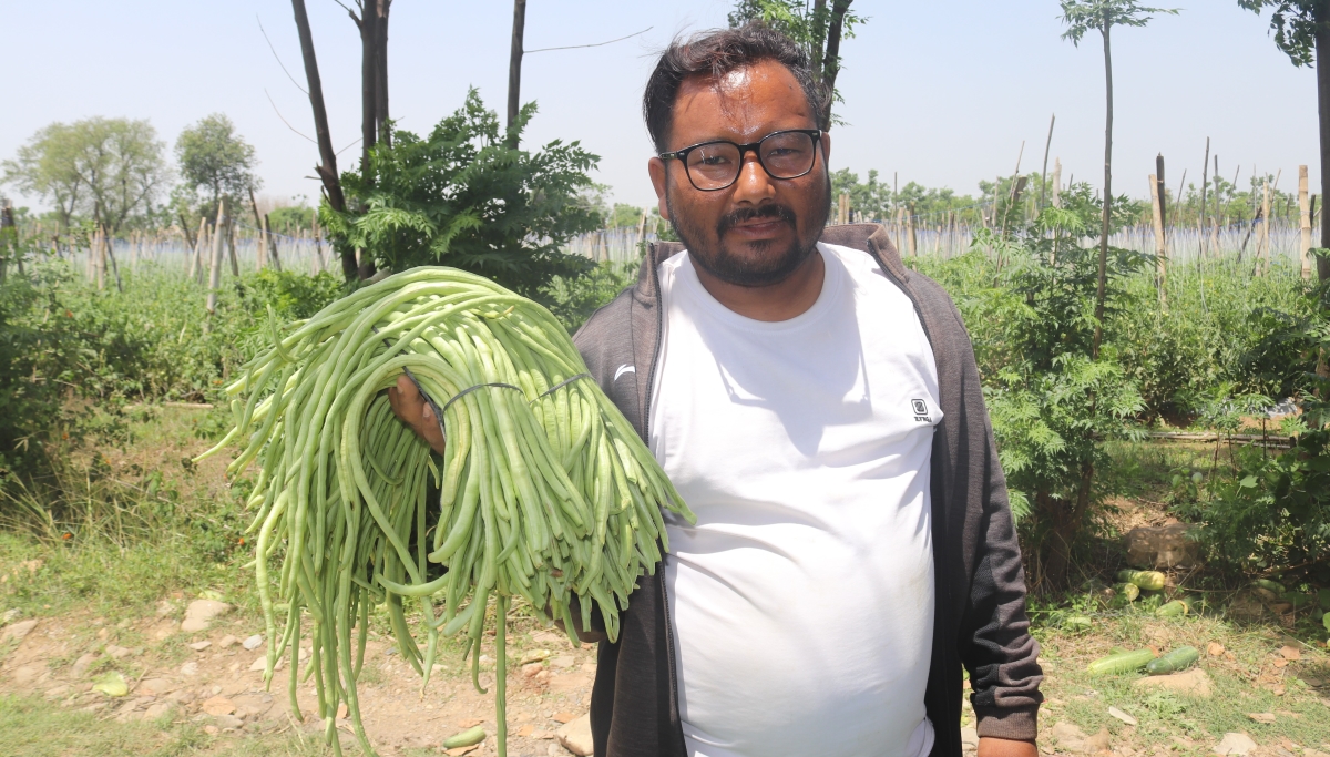 जग्गा भाडामा लिएर व्यावसायिक तरकारी खेतीमा रमाउँदै दाङका महेन्द्र खड्का