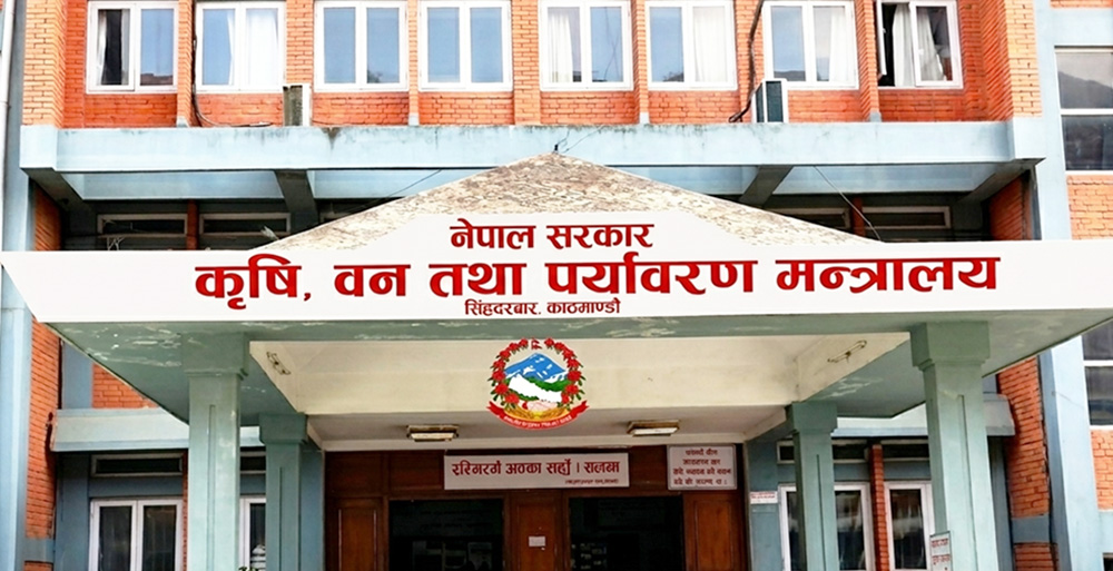 सरकारले कृषि उपजको भुक्तानी २५ दिनभित्र गर्न निर्देशन, ब्याजसहित जरिवानाको व्यवस्था