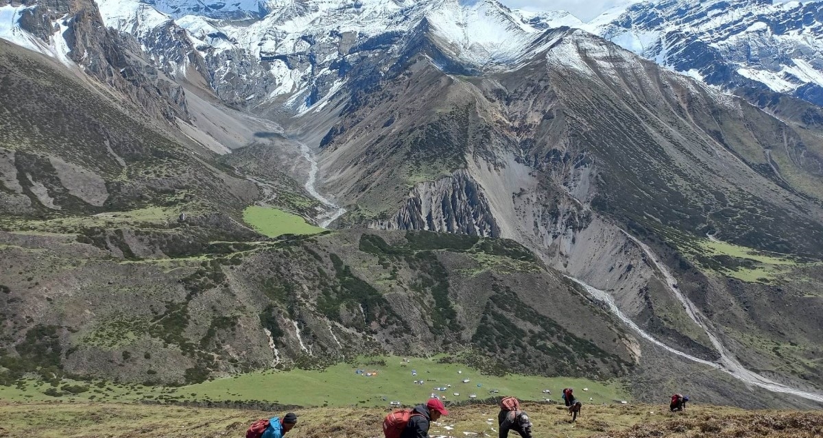 छेकम्पारका बासिन्दा यार्सागुम्बा संकलन गर्न छेके र बाजु लेकतिर