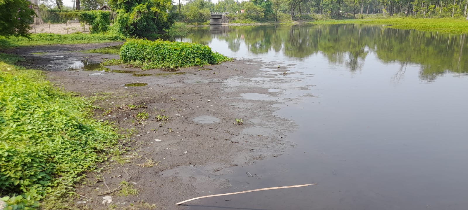 सिमसार क्षेत्रको अतिक्रमणले कछुवा जोखिम