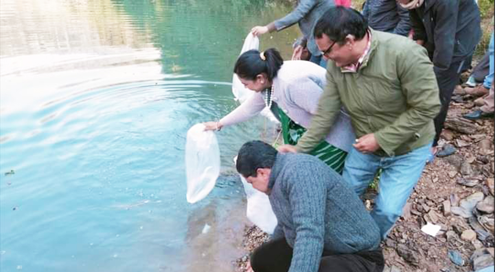 कालीगण्डकी मत्स्य ह्याचरीद्वारा यस वर्ष आठ लाख भुरा उत्पादन