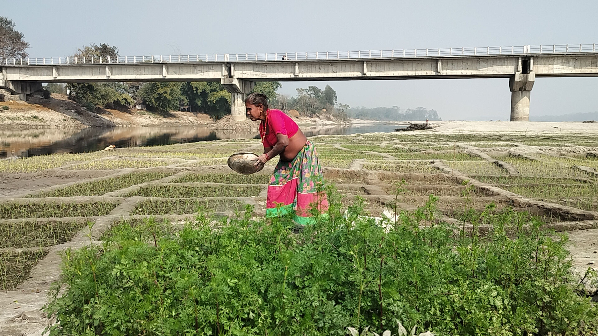 बगरखेतीले फेरिँदै फाँटाका किसानको जीवन