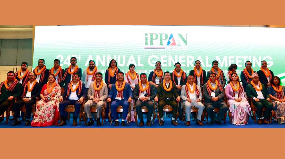IPPAN1781313652