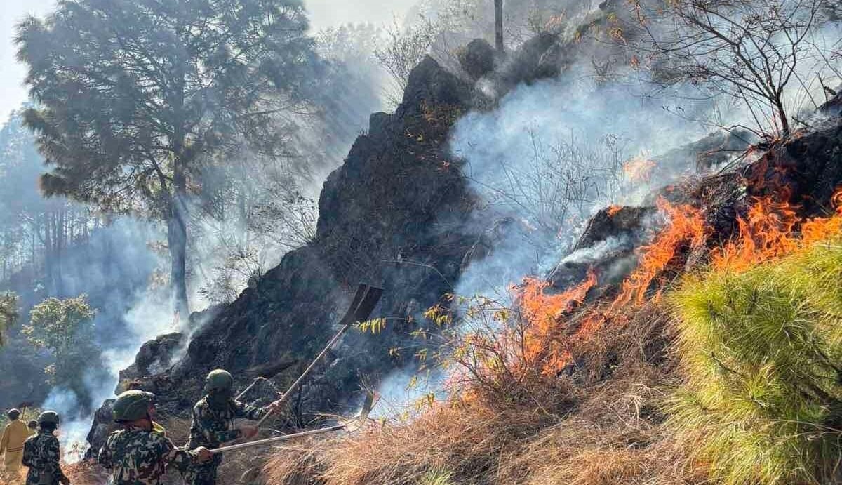 पाल्पा डढेलोः चार सामुदायिक वनमा क्षति