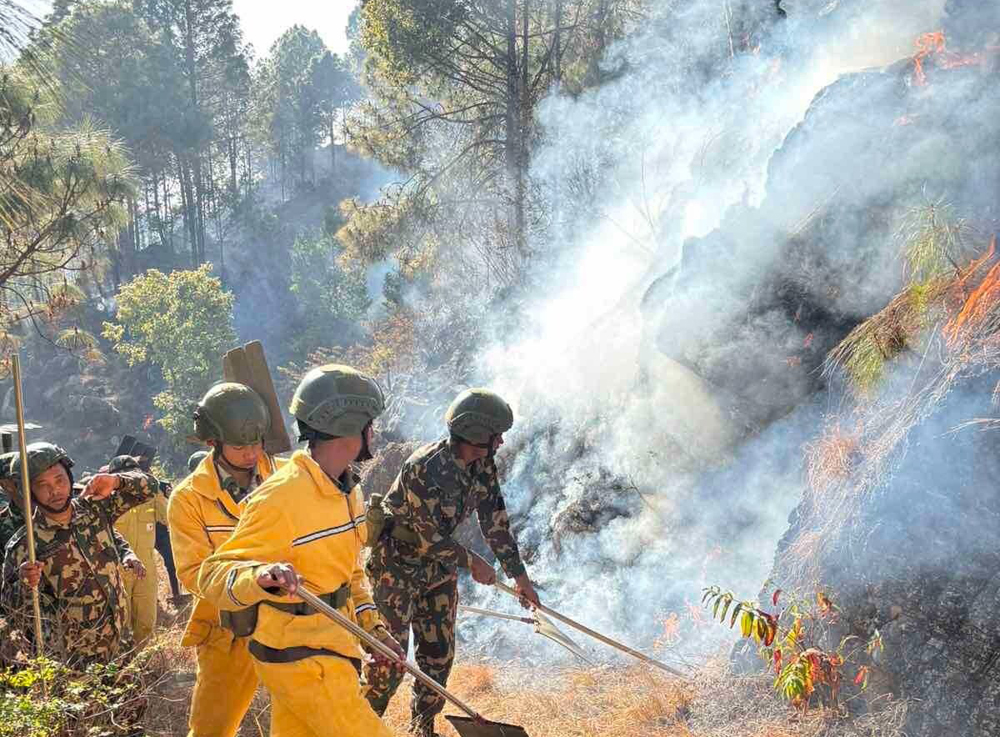 पाल्पाको जङ्गलमा डढेलो, करीब १० हेक्टर बन क्षेत्र डढेलाेले सखाप