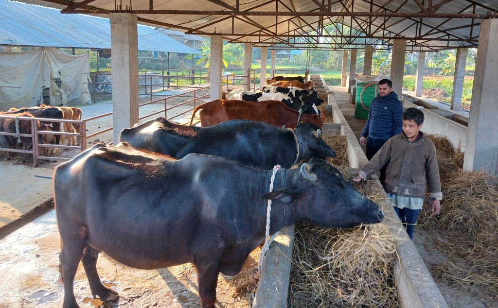 युवालाई व्यवसायमा खुड्किलो चढ्ने माध्यम बन्यो नगरपालिकाकाे ‘ब्याज अनुदान’