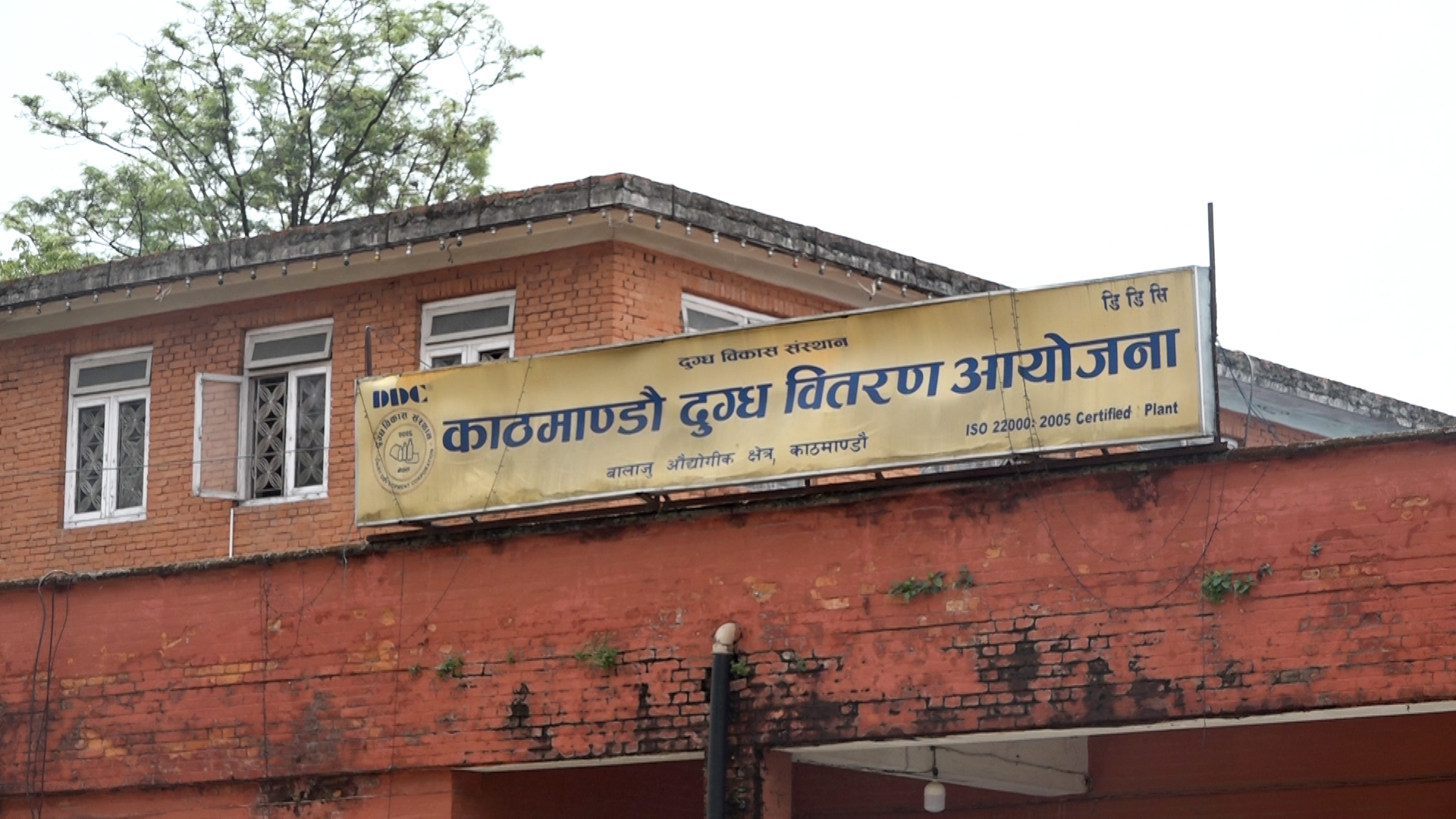 निजी क्षेत्रको आक्रामक बजार विस्तारले डीडीसीलाई अस्तित्व जोगाउन हम्मे