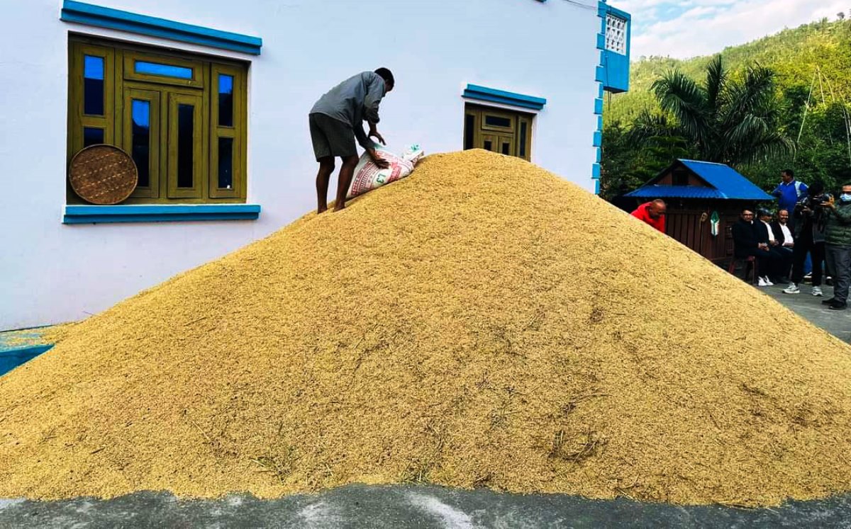 गुल्मी धुर्कोटका अर्यालले फलाए ४०० मुरी धान