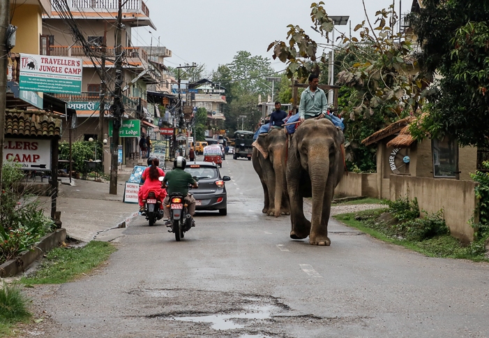 अङ्ग्रेजी नयाँ वर्षमा यस पटक पर्यटकले भरीएनन् सौराहाका हाेटल