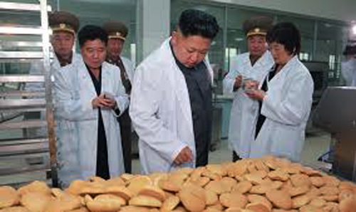 उत्तर कोरियामा खाद्य संकट
