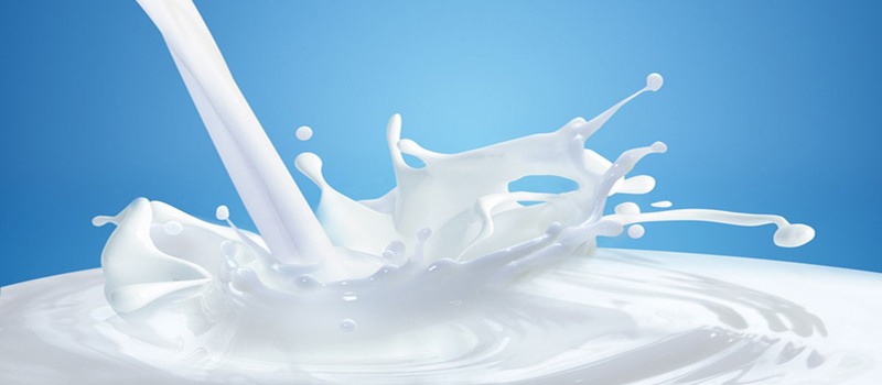 तनहुँमा दूध खपतमा ५० प्रतिशत ह्रास