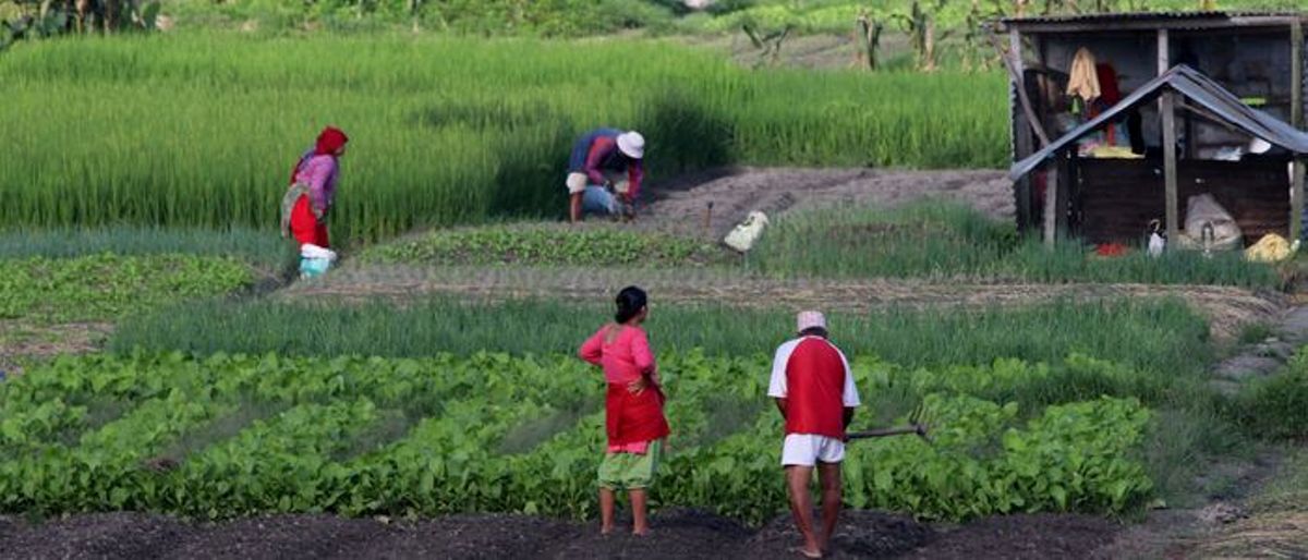 दश कृषि परियोजनाका कृषकलाई आठ करोड अनुदान