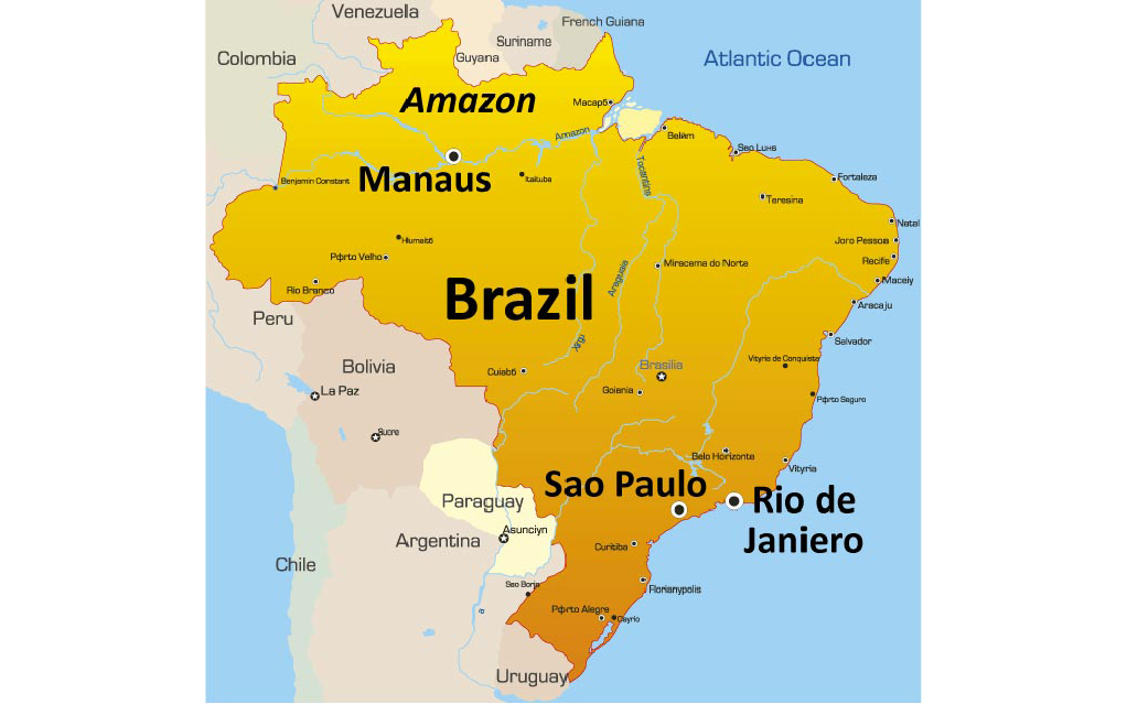 ब्राजिलमा कोरोना भाइरसबाट मृत्यु हुनेको संख्या २ लाख ४० हजार पुग्यो