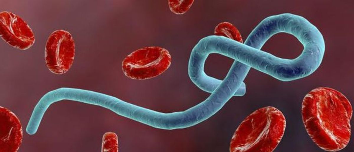कंगो र गुएनामा इबोलाको संक्रमण, ११ जनाको मृत्यु