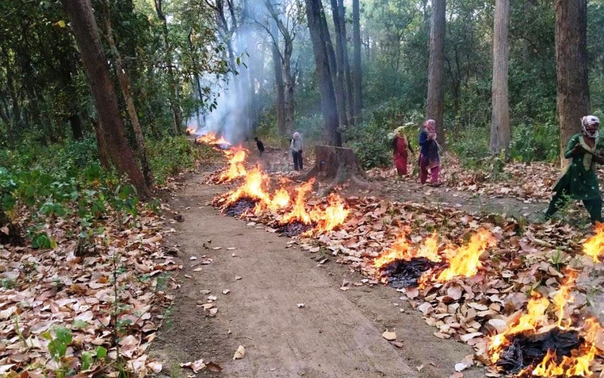वन क्षेत्रमा डढेलो लाग्न नदिन फायर लाइनमा रहेका पात जलाउँदै उपभोक्ता