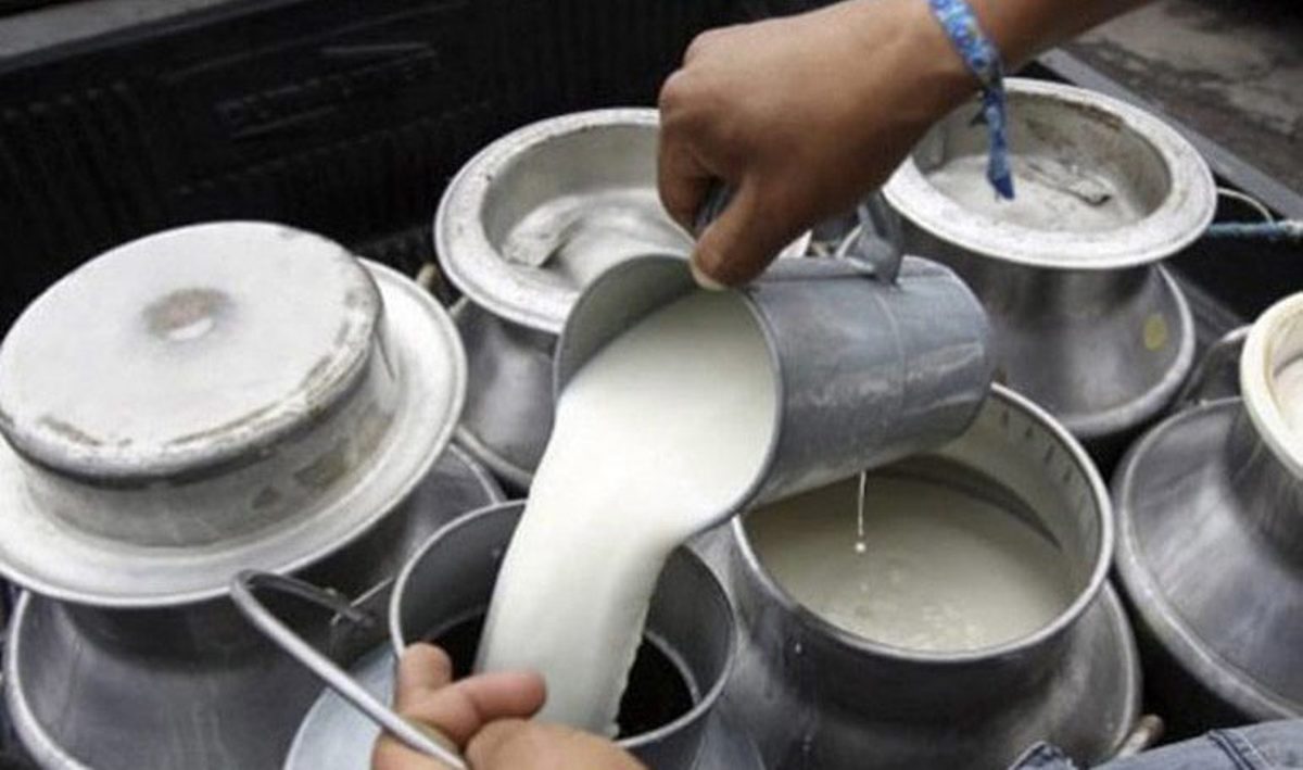 दूधमा अनुदानः उत्पादन बढाउँदै किसान