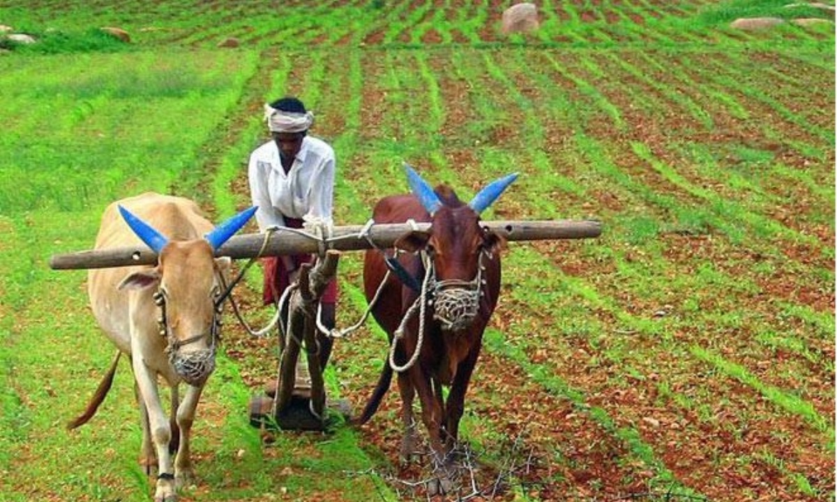 सुखौरामा शितभण्डार : किसान उत्साहित