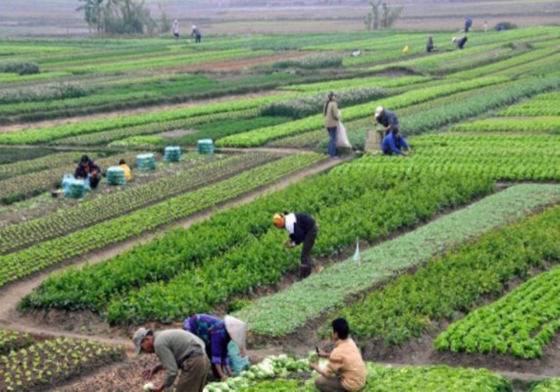 करोडौँका सिँचाइ आयोजना सम्पन्नः किसान हर्षित
