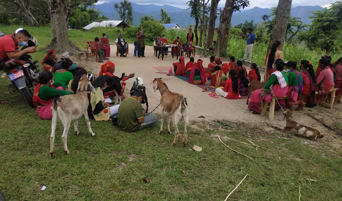 गुल्मीको इस्मामा हेफर नेपालद्वारा स्थानीयलाई बाख्रा वितरण