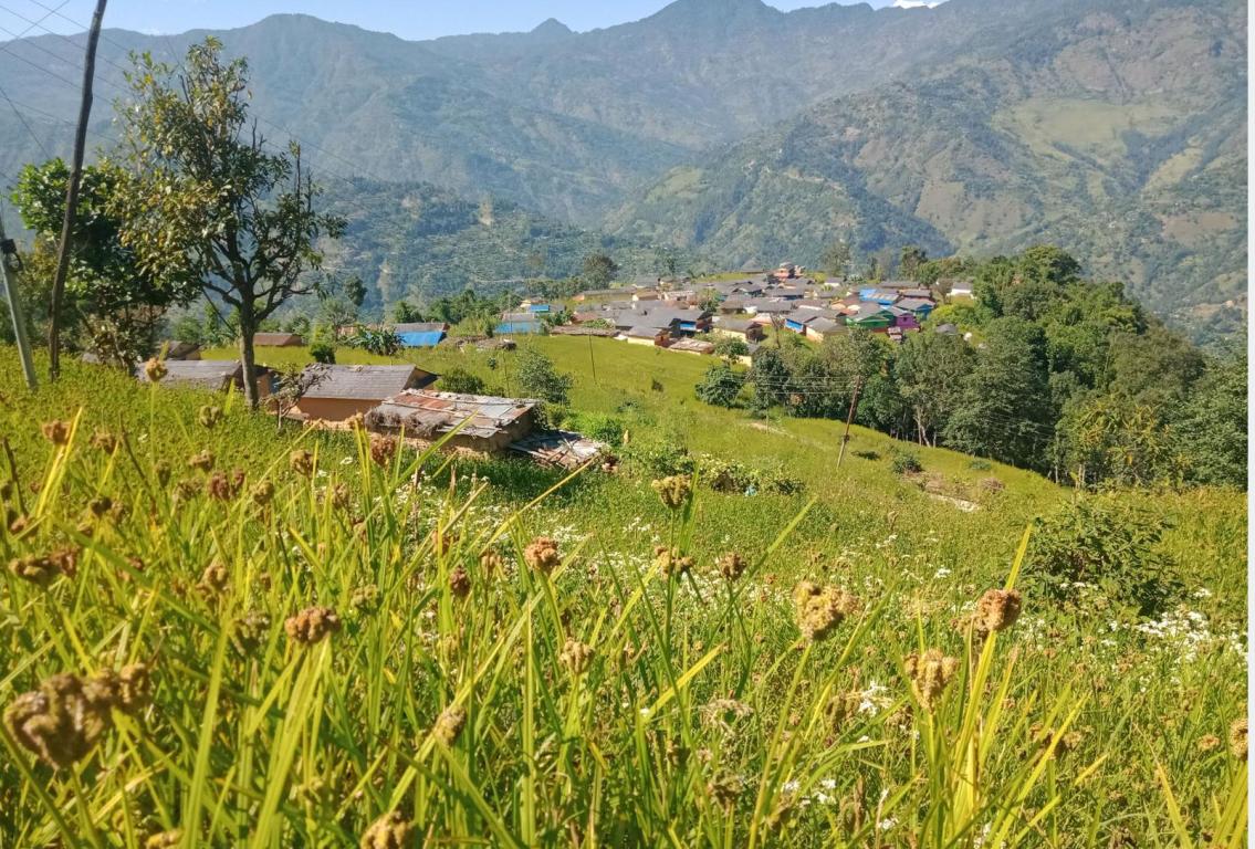 लामिचौरको बस्ती