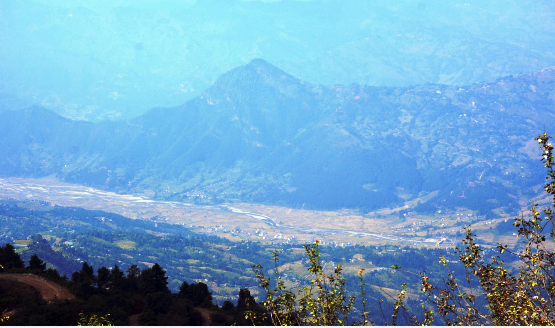 लिखुखोला आसपासमा पाक्दै धानबाली