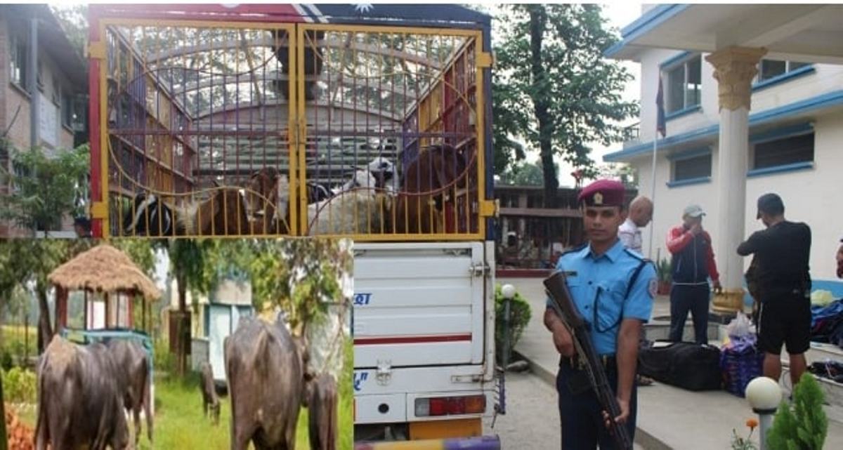 २० लाख बढीको अवैध मालसामान नियन्त्रण