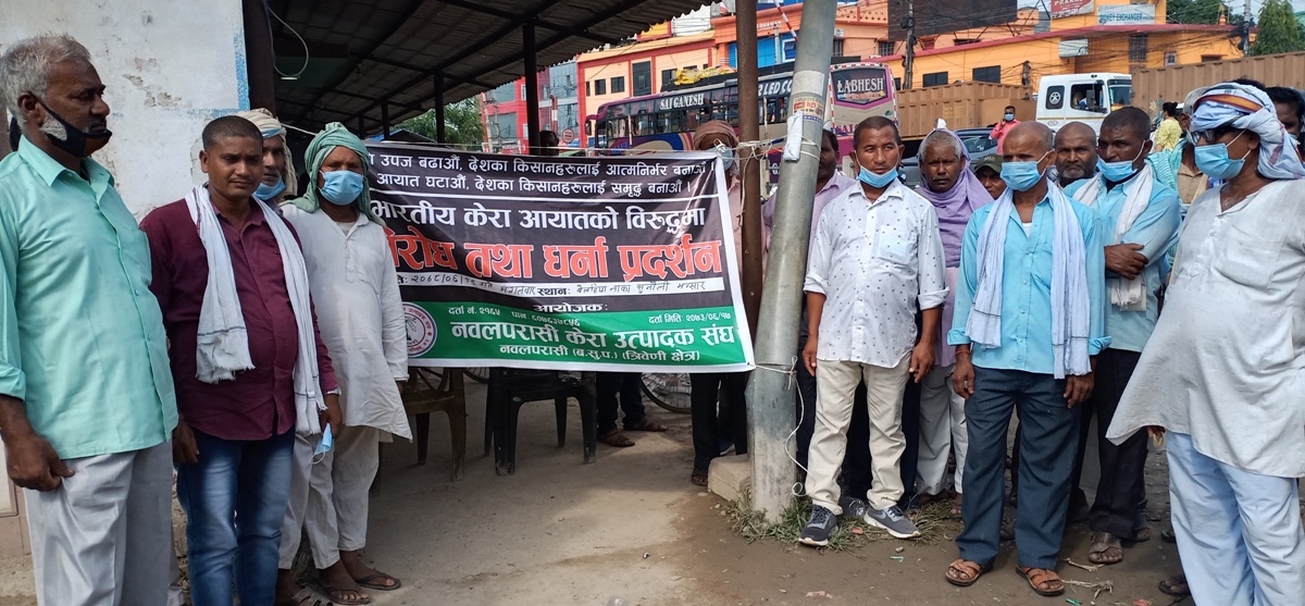 भारतीय केरा बिरुद्ध नेपाली कृषक आन्दोलित