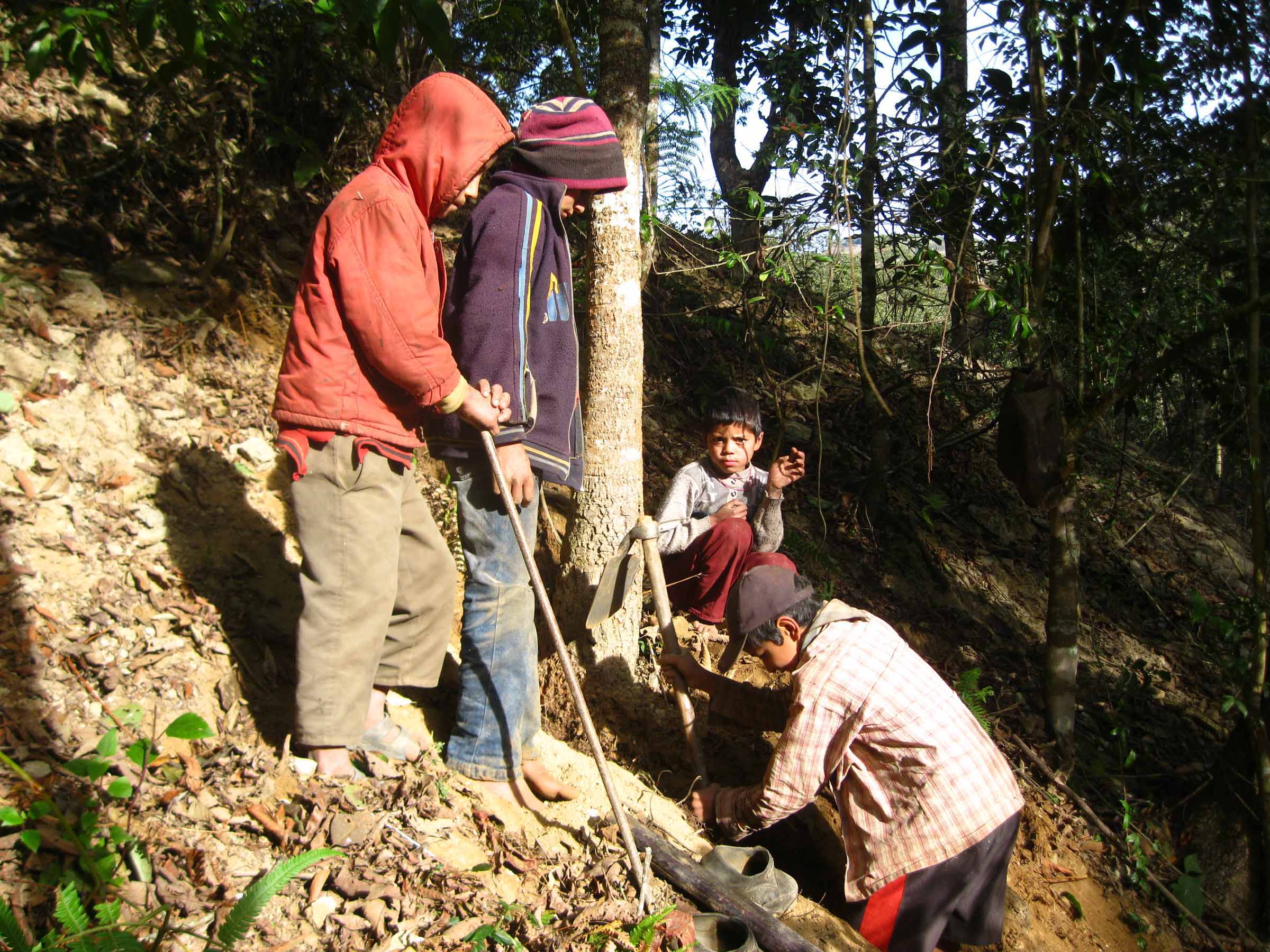 माघे संक्रान्तिलाई जंगलमा वन तरुल खोज्नेकाे भिड
