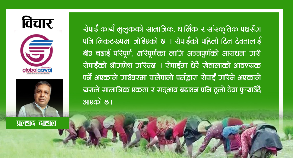 असार १५ : दहि चिउरा र धान दिवसको महत्व