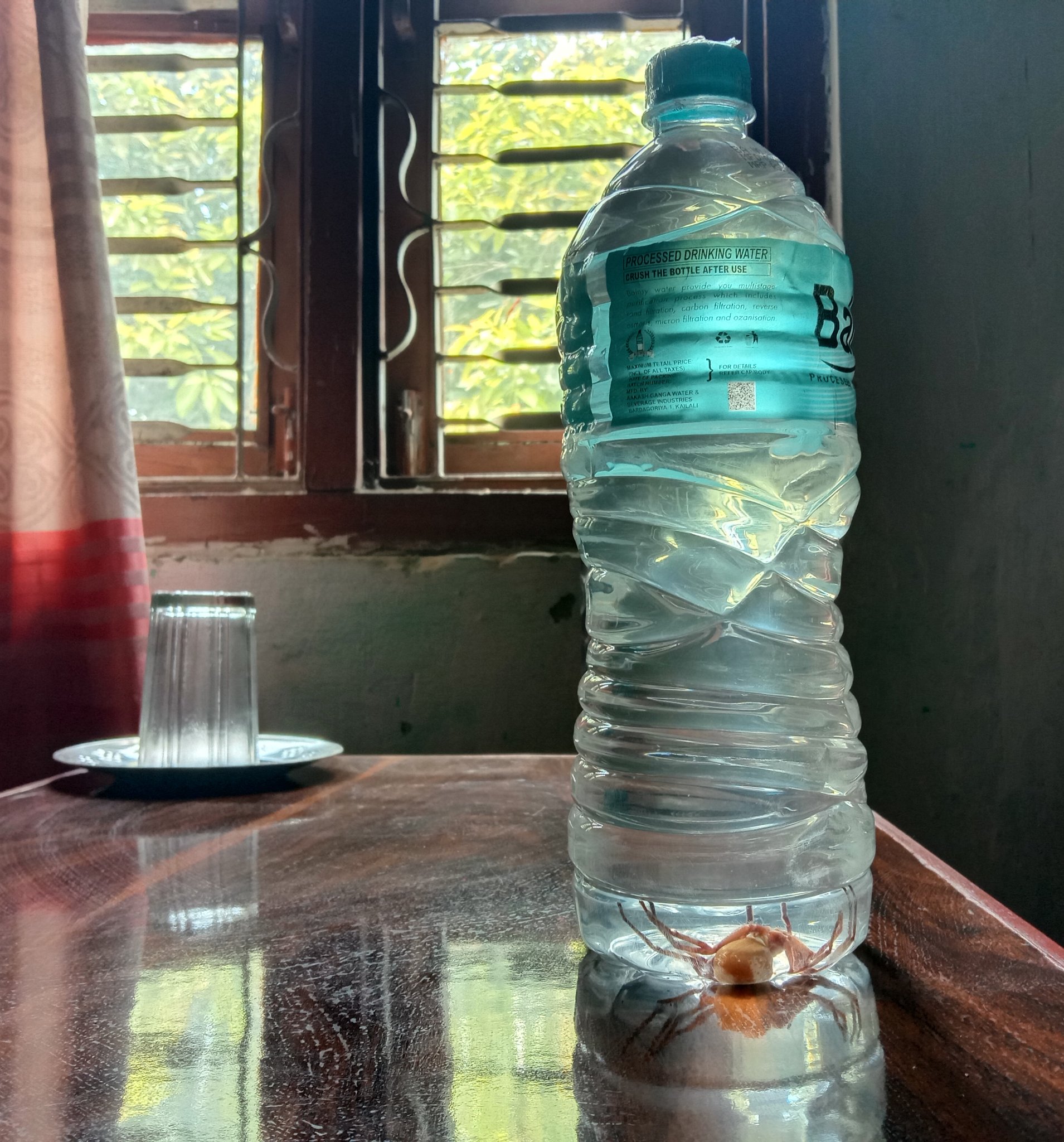 ‘मिनिरल वाटर’को बोतलभित्र माकुरो भेटियो