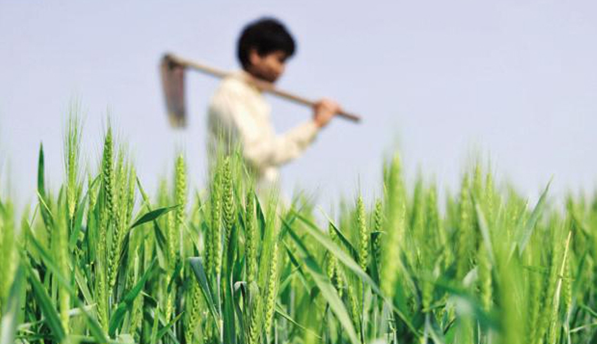 कृषि अर्थतन्त्रलाई व्यावसायीकरण गर्नुभन्दा आत्मानिर्भर बनौं : मदनकुमारी शाह