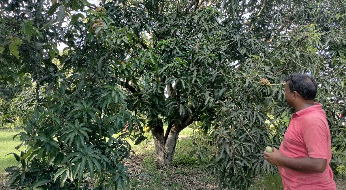 रुपन्देहीको धकधईमा सन्जयकाे 