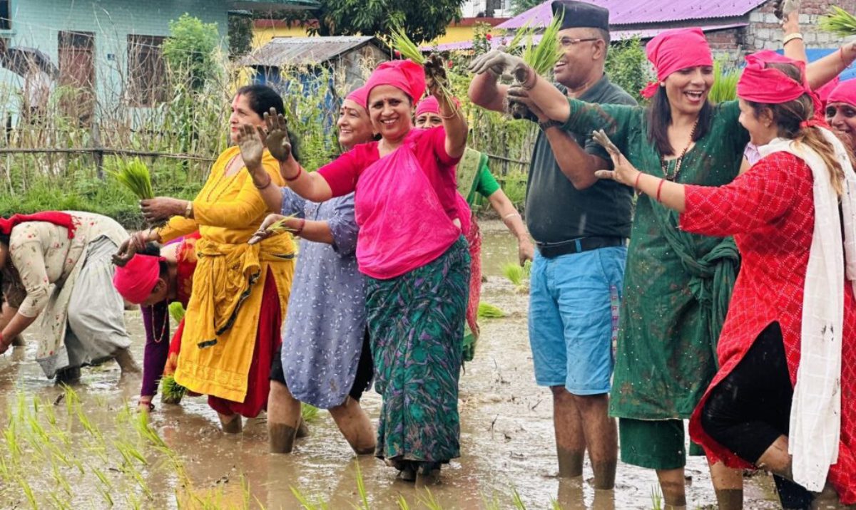 तामनगर सामुदायिक सिकाई केन्द्रले मनायो राष्ट्रिय धान दिवस