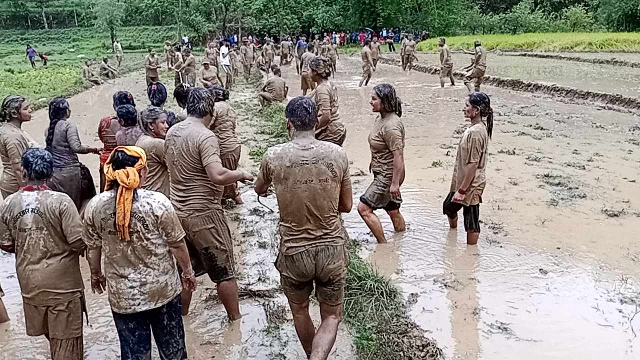 गुल्मीदरवारको रोपाई (फोटोफिचर)