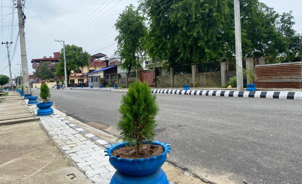 तिलोत्तमाका भित्री सडकहरु पनि हरियाली र फूलले ढकमक्क बनाइँदै (फोटोसहित)