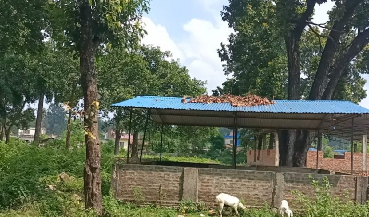 वन अतिक्रमण तीव्र रुपमा बढ्दै, करिब १० हजार वन क्षेत्र अतिक्रमणको चपेटामा