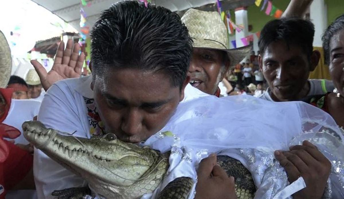 मेक्सिकोका मेयरले गरे गोहीसँग विवाह