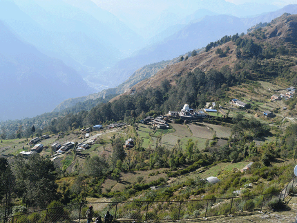 कुखुरा, बङ्गुर र मदिरा उत्पादन प्रतिबन्ध रहेकाे गाजने गाउँ