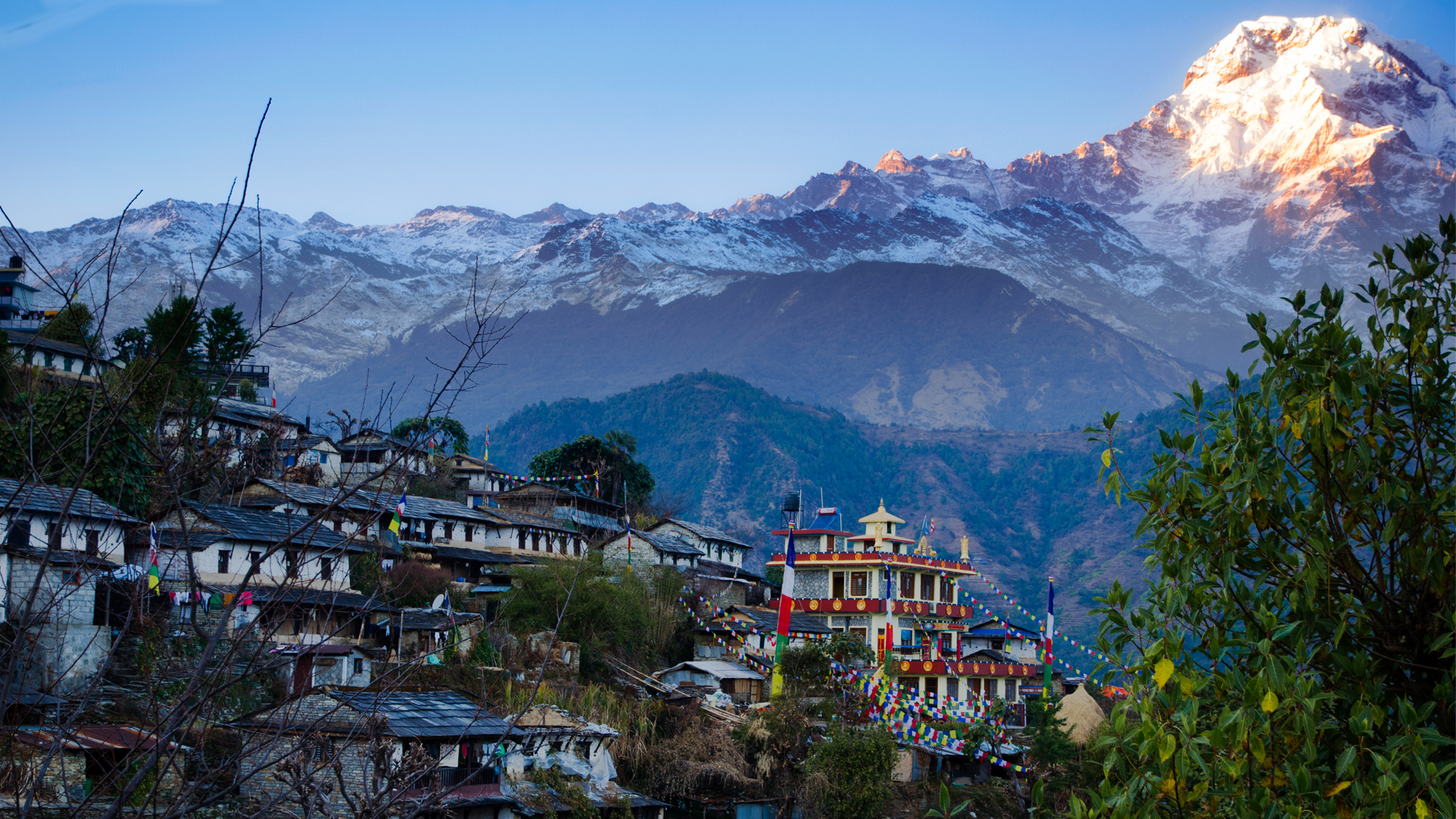 बसाइँसराइले रित्तिदै गाउँ, बढ्यो बाँदर आतंक